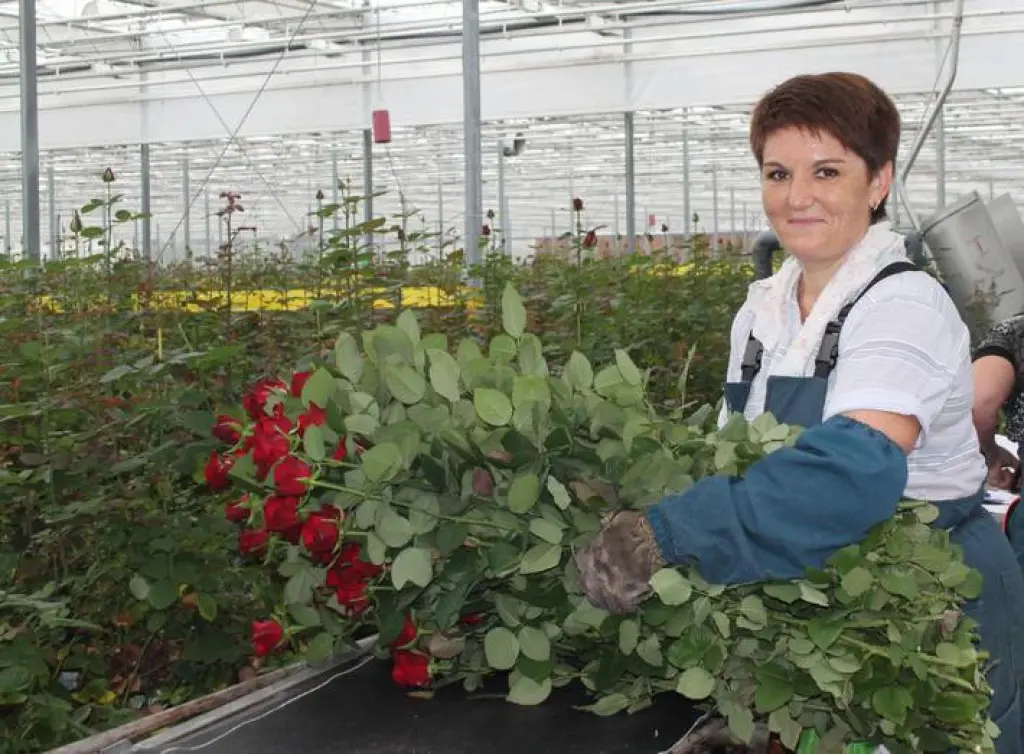 Оператор-упаковщик