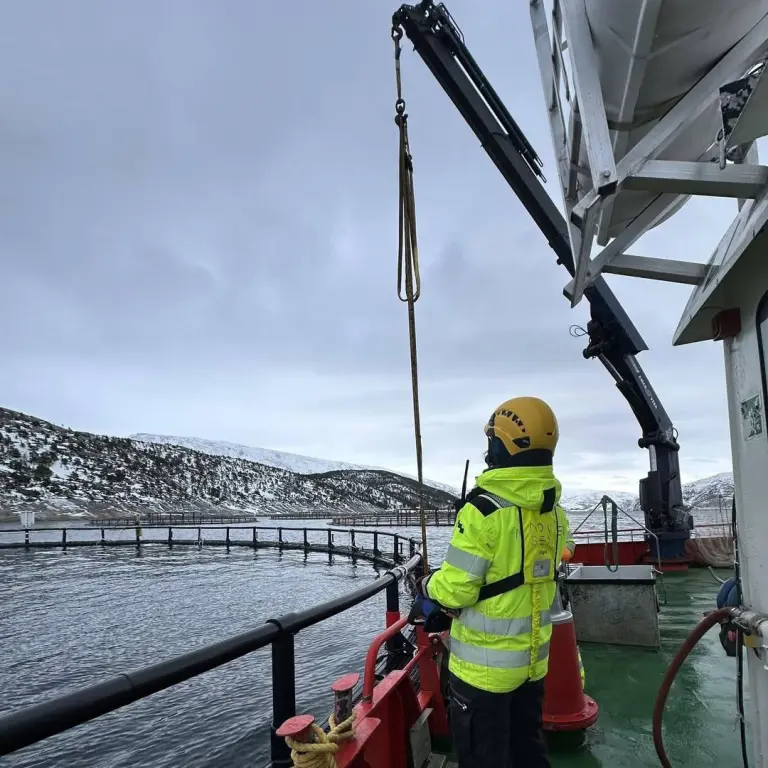 "Работа и вакансии" физическим работникам на лососевых фермах в Норвегии